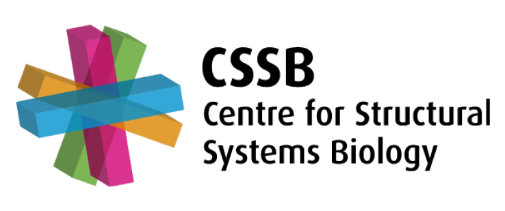 Das Logo des CSSB Centre for Structural Systems Biology