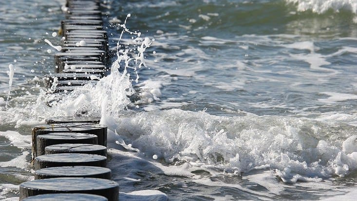 Holzpfähle im Wasser